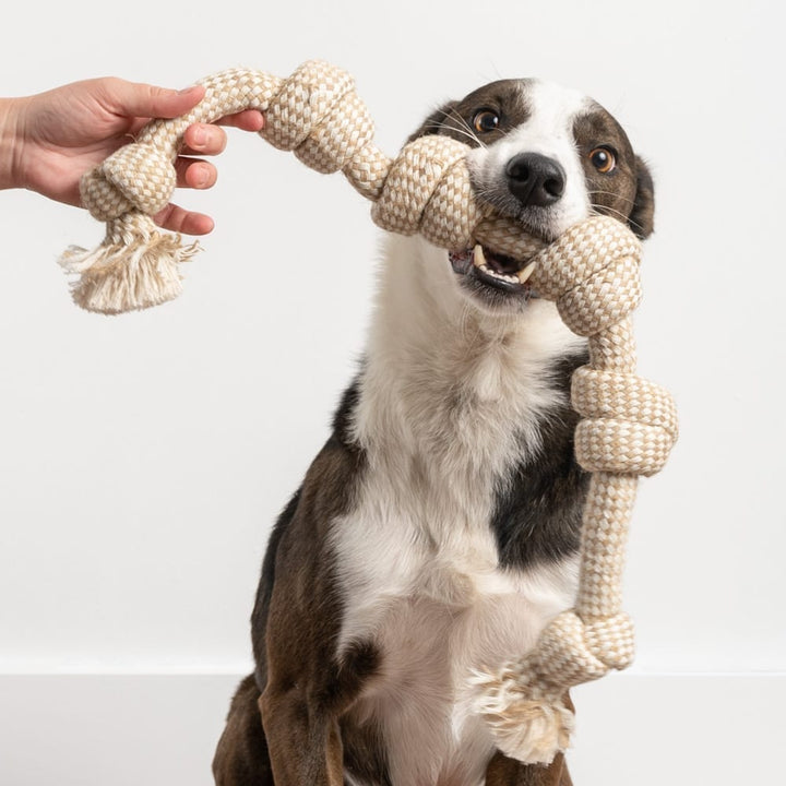 Gioco per cani in corda • ChainDog FLUFFALL