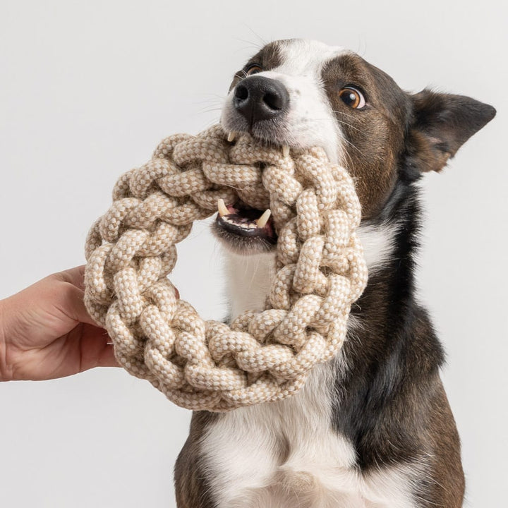 Gioco per cani in corda • RingDog FLUFFALL